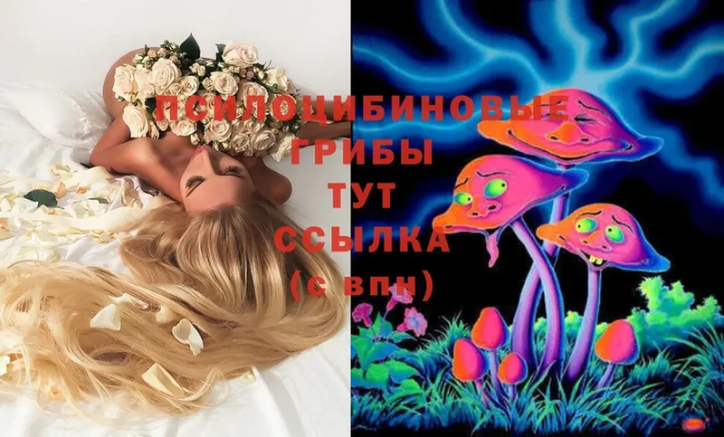 Галлюциногенные грибы MAGIC MUSHROOMS  Киселёвск 